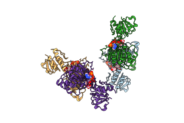 5V7G image
