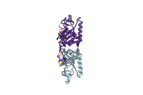 5V7W image