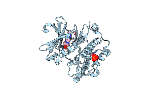 5V80 image