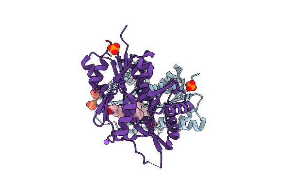 5V85 image