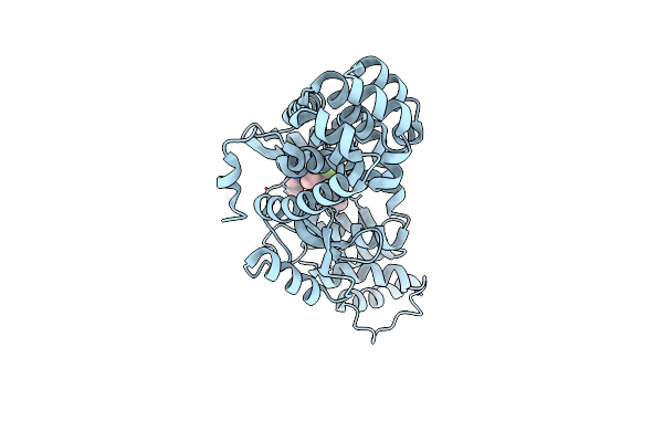 5V88 image