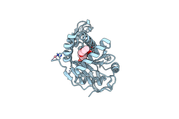 5V8C image
