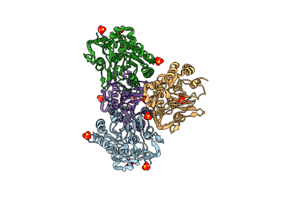5V8D image