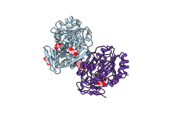 5V8E image