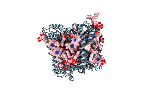 5V8K image