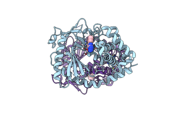 5V8O image