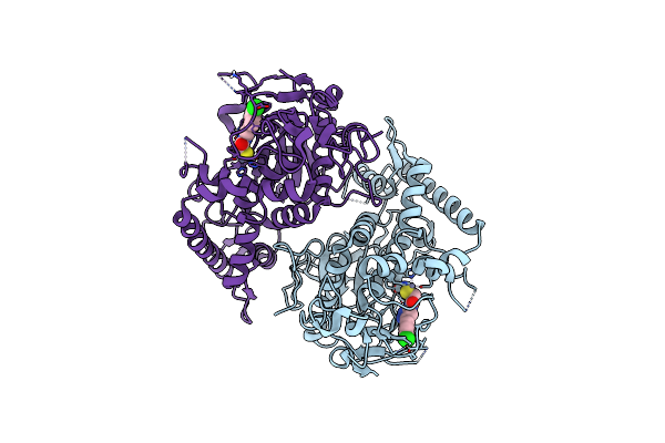 5V8P image