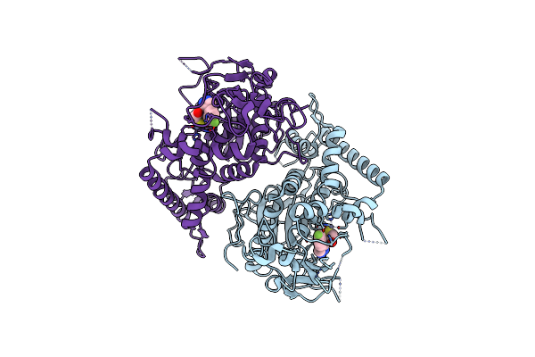 5V8R image