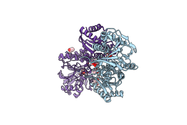 5V8S image