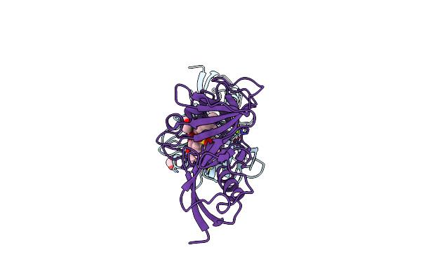 5V8T image