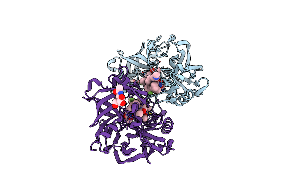 5V8V image