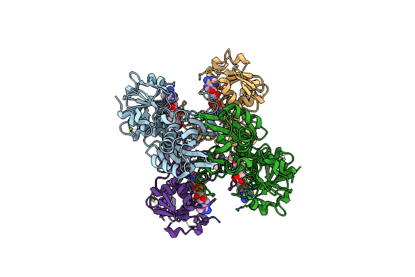 5V8X image