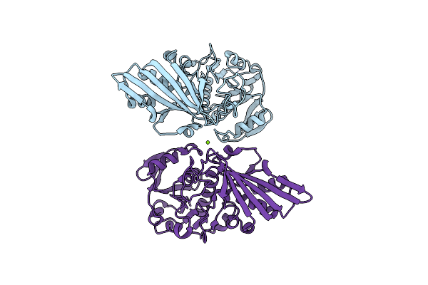 5V8Y image