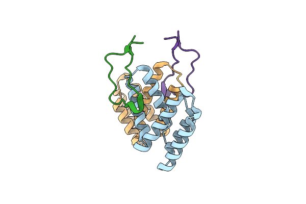 5V8Z image
