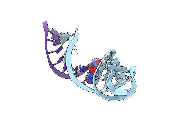 5V9Z image