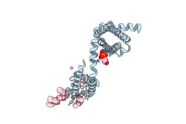 5VB8 image