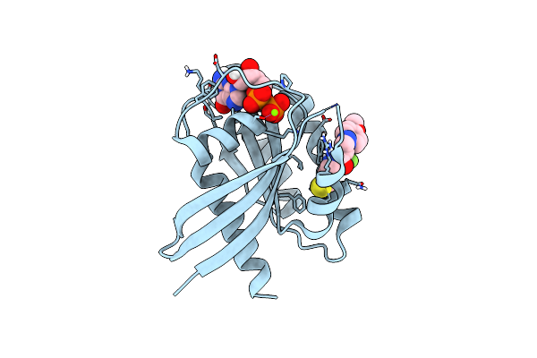 5VBM image