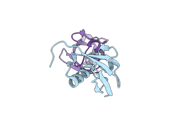 5VBT image