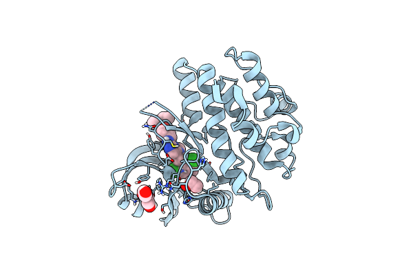 5VC5 image