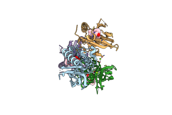 5VCP image