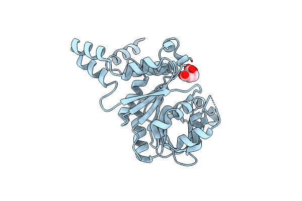 5VCT image