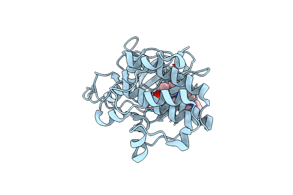 5VD1 image