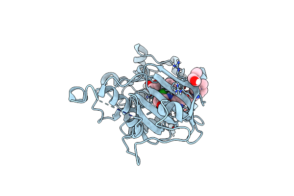 5VD3 image