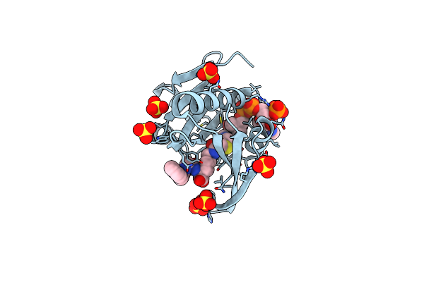 5VDB image