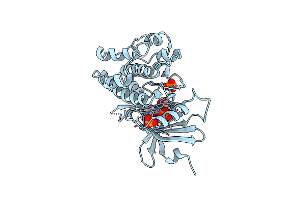 5VDK image