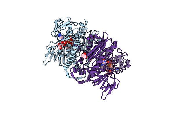 5VDN image