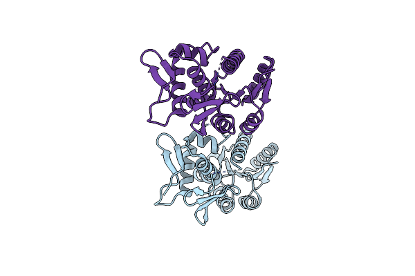 5VFA image