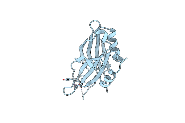 5VFF image
