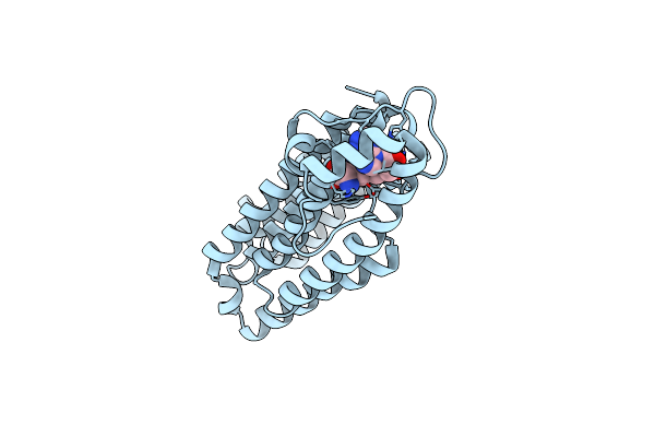 5VG9 image