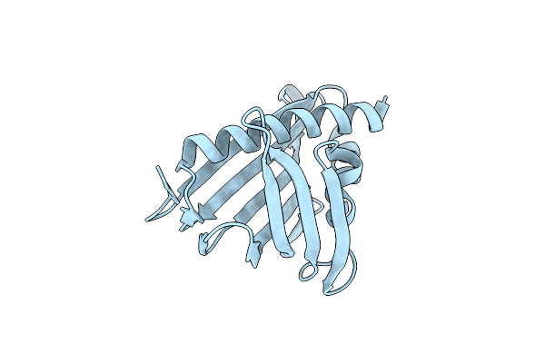 5VGL image