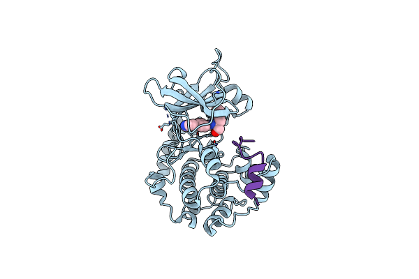 5VHB image