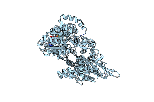 5VHC image