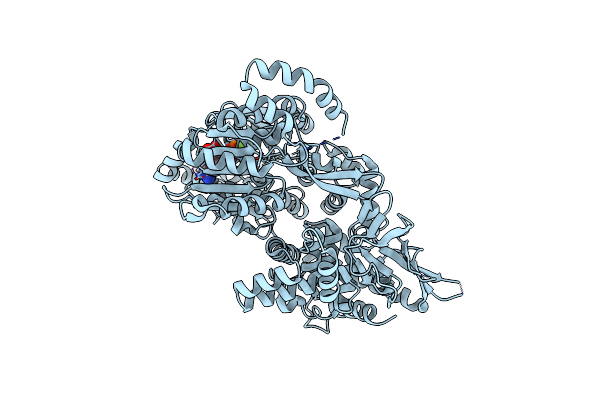 5VHD image