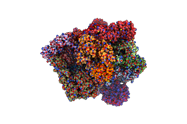 5VHH image