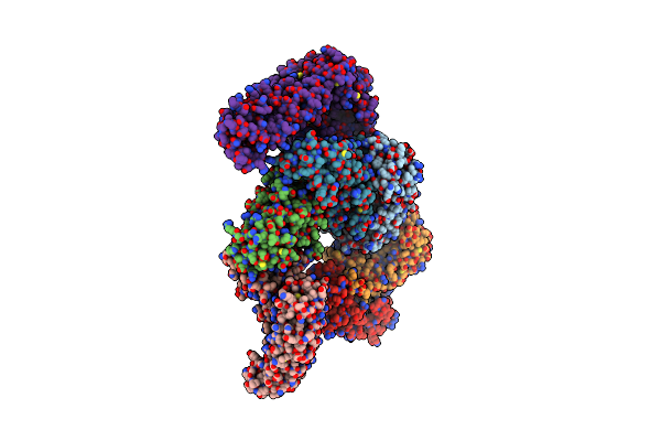 5VHR image