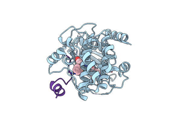 5VIB image