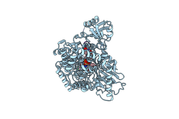 5VIF image