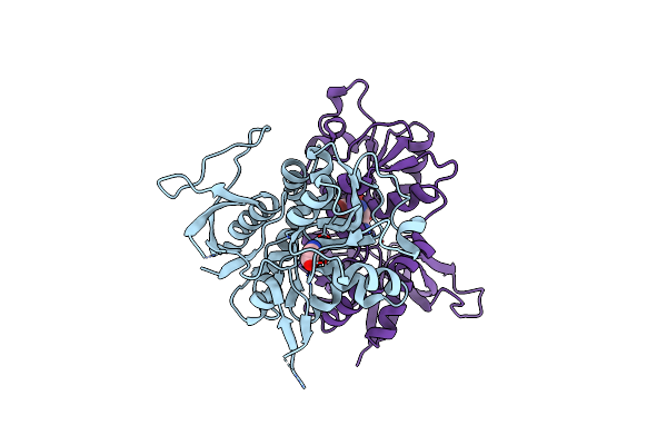 5VIJ image