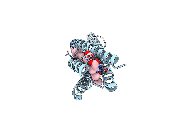 5VJS image