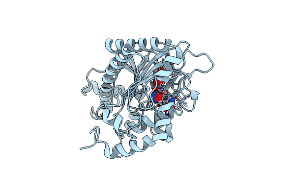 5VKA image