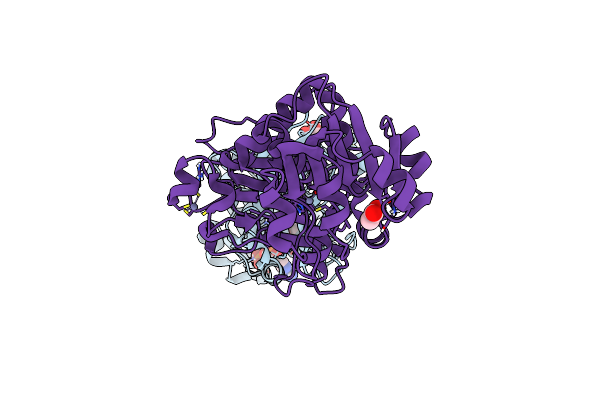 5VKT image