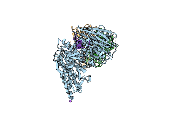 5VLP image