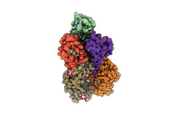 5VMC image