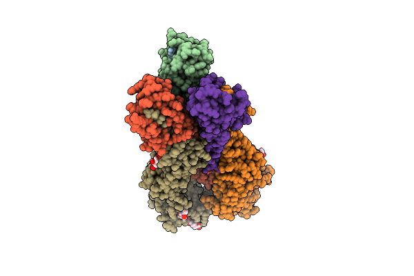 5VMG image