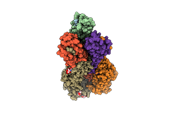 5VMJ image
