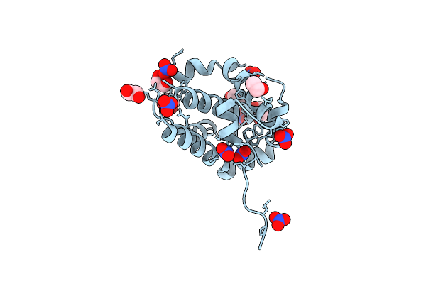 5VMN image